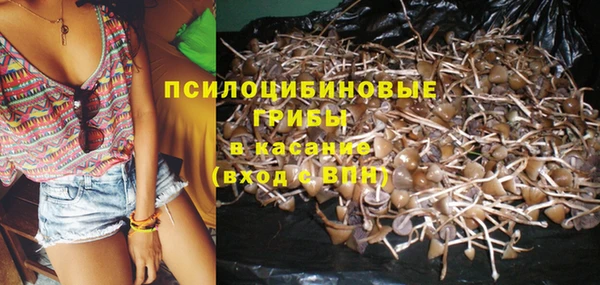 прущие крисы Абдулино