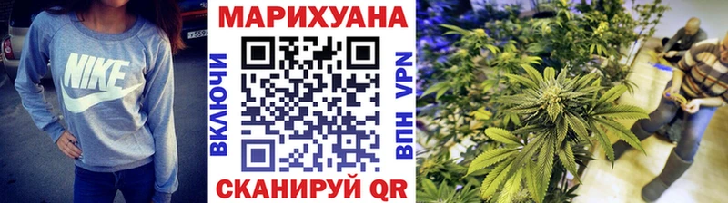 Шишки марихуана планчик Правдинск